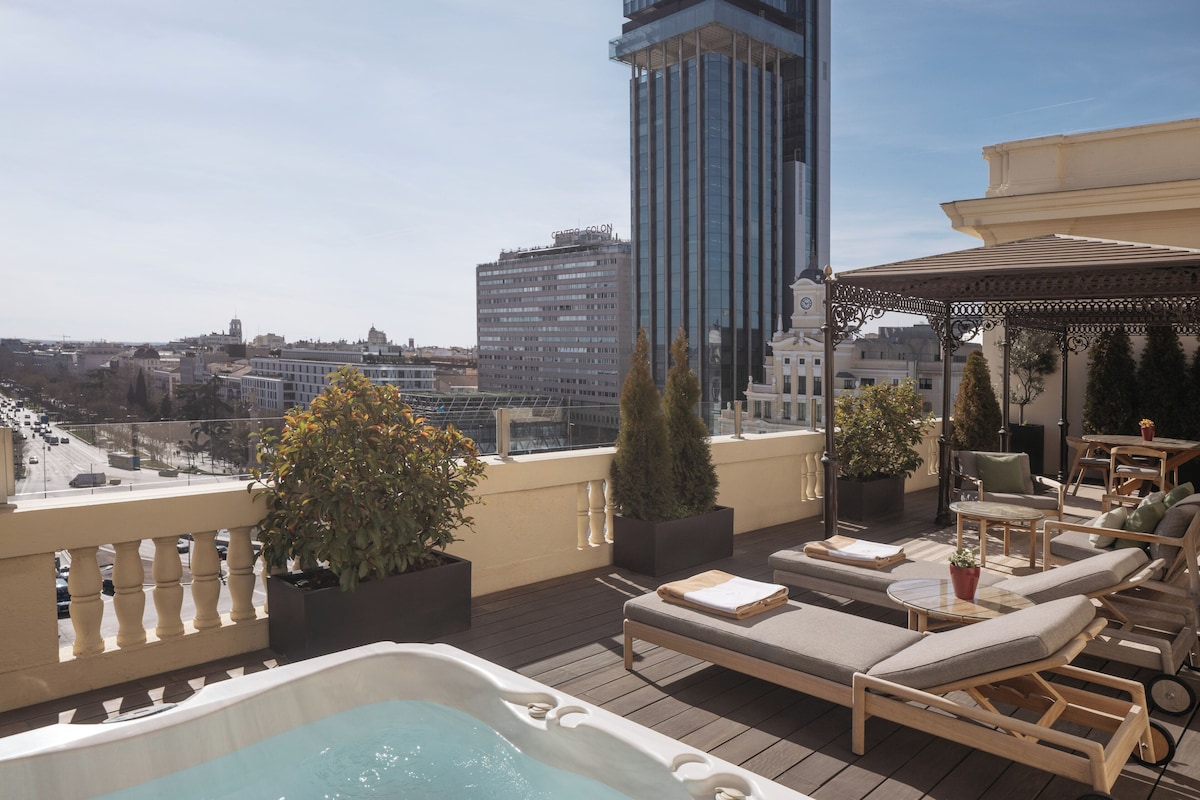 Gran Meliá Fénix, photo 7