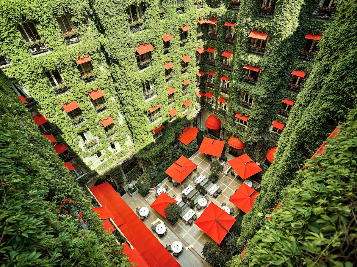 Hotel Plaza Athénée Paris, photo 3